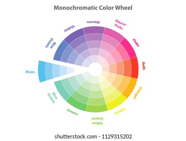 monochromatic color wheel, color scheme theory, blue color in evidence, vector isolated or white background