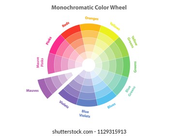 monochromatic color wheel, color scheme theory, mauves color in evidence, vector isolated or white background