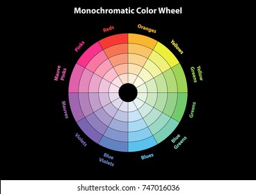 monochromatic color wheel, color scheme theory, vector isolated or black background 