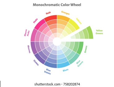 monochromatic color wheel, color scheme theory, vector isolated or white background