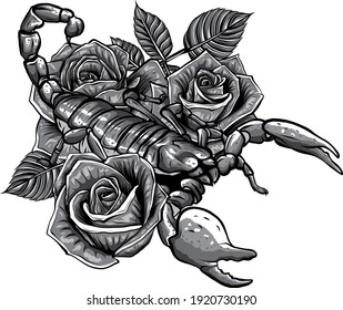 monochromatic Detailed realistic scorpio in a decorative frame of roses.