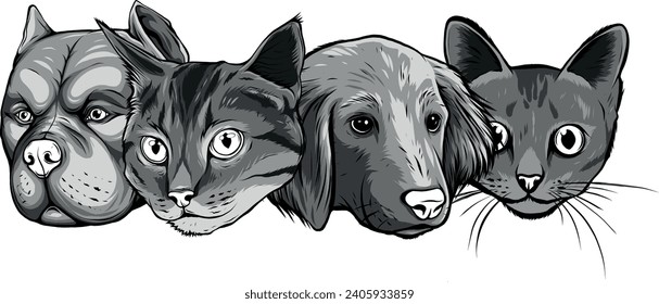 perros monocromáticos y gatos mascotas con fondo blanco