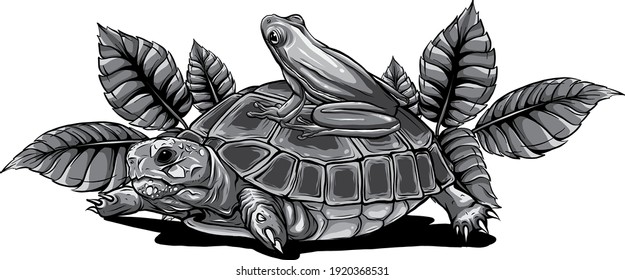 monochromatic Frog and Turtle vector illustration graphics art