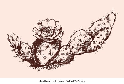 A monochromatic illustration of a cactus with a flower blooming, hand drawn with intricate details in a vintage art style. The plants gesture is emphasized, standing out in a flowerpot