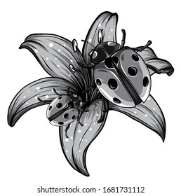 monochromatic ladybugs in the garden red vector illustration