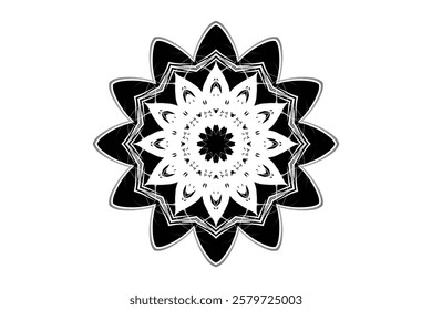 Monochromatic Mandala Featuring Geometric and Floral Shapes	
