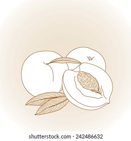 Monochromatic - Peach