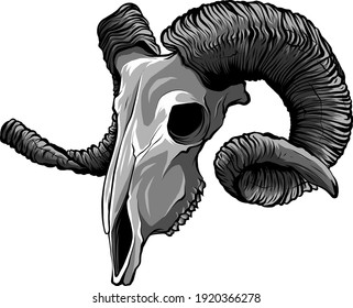 monochromatic Realistic red goat skull. vector Illustration for designer on a white background.