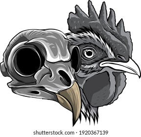 monochromatic Sketch Chicken Skull vector and artwork illustration
