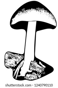 Monochromatic vector graphic of young shield mushroom growing from dead wood from side.