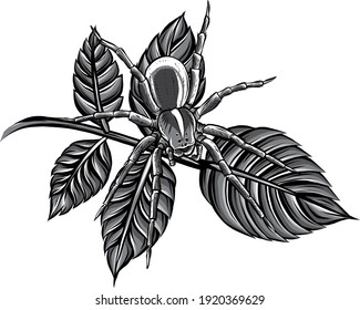 monochromatic vector Illustration of a spider web in a rainforest