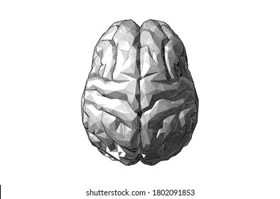 Monochrome abstract engraved drawing low poly stone human brain top view vector illustration isolated on white background