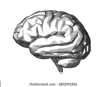 Monochrome abstract engraved drawing low poly stone human brain side view vector illustration isolated on white background