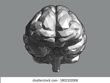 Dibujo abstracto monocromo grabado de baja piedra de polos de la parte frontal del cerebro humano ilustración vectorial aislada en fondo gris