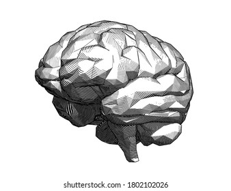 Monochrome abstract engraved drawing low poly stone human brain perspective side view vector illustration isolated on white background