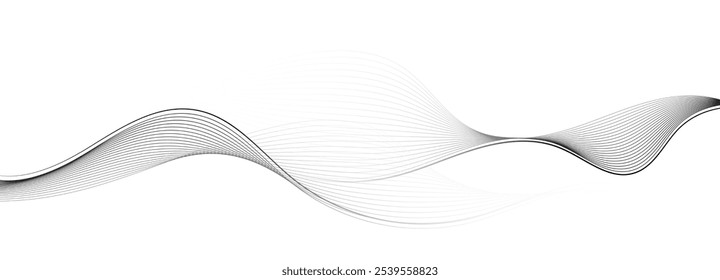 Monochrome abstract wave line background with smooth flowing curves. Vector illustration. 