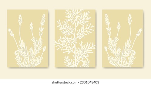 Monochrome aesthetic blooming branches illustration poster set. Botanical neutral art