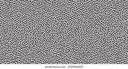 Monochrome Aesthetics and Organic Patterns A Study of Turing Reaction Diffusion in a Dynamic Design Context
