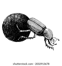 Monochrome African Dung Beetle rolling ball svg