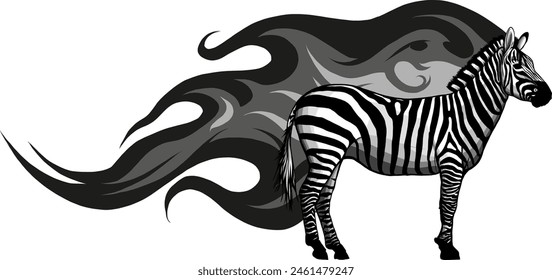 monochrome African Zebra with flames vector illustration draw