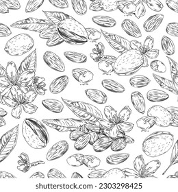 Monochrome almond nut seamless pattern in sketch style, vector illustration on white background. Nutshell, flowers and leaves. Great for package design. Natural almond nuts.