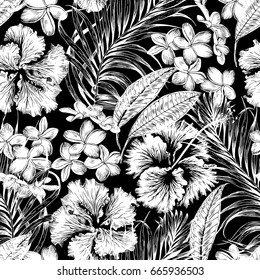 Hawaii Vector Black White Stock Illustrations Images Vectors