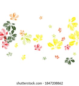 Monochrome artistic floral collection. Objects isolated on white. Vector illustration