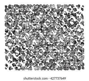 Monochrome background with black and white circles.