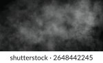 Monochrome Background with Cloudy Mist and Vapor Swirls

