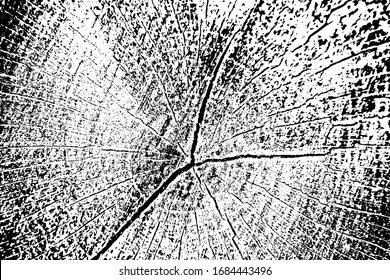 Monochrome background of dry wood cut. Grunge texture of the top of the stump with annual rings, cracks, veins and spots. Overlay template. Vector illustration