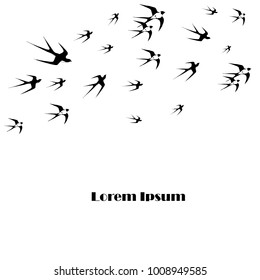 Monochrome background flying swallow Lorem ipsum stock vector illustration design element
