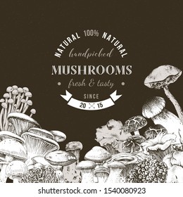 Monochrome background with hand drawn edible mushrooms and place for text. Vector illustration