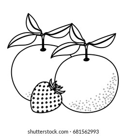 monochrome background with set of fruits orange and strawberry vector illustration