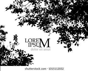 Monochrome background with tree branches