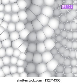 monochrome background white stone vector