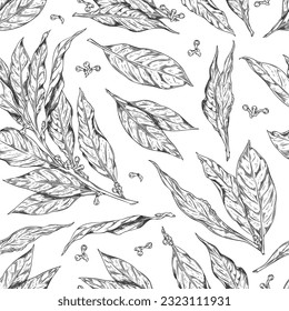 La bahía monocroma deja un patrón sin fisuras, dibujo a mano de la ilustración vectorial aislada en el fondo blanco. Dibujo de hierbas de estilo vintage. Conceptos de sazonamiento y cocina.
