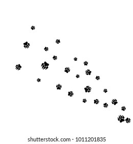 Monochrome Bear Footprints in Black and White. Prints of Paws with Big Claws for Petshop Design or for Goods for Pets. Simple Pattern for Print, Logo or Poster. Vector Confetti Background.
