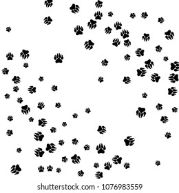 Monochrome Bear Footprints Black White Prints Stock Vector (Royalty ...