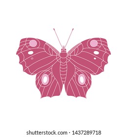 Monochrome beautiful butterfly vector illustration