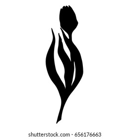 Monochrome black tulip spring flower silhouette isolated vector