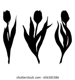 Monochrome black tulip spring flower silhouette set isolated vector
