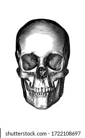 Monochrome black vintage engraved drawing human skull close jaw front view vector biology vector illustration isolated on white background