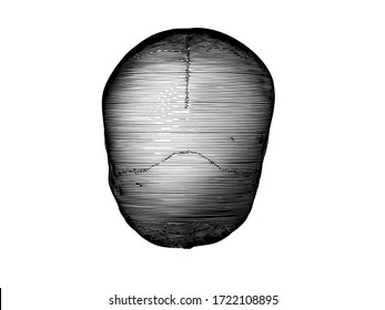 Monochrome black vintage engraved drawing human skull top view vector biology illustration isolated on white background