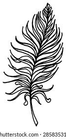 Monochrome black and white bird feather vector single isolated