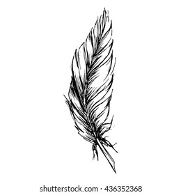 Monochrome black and white bird feather vector sketched art