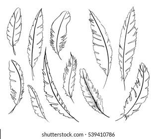 Monochrome black and white bird feather vector set