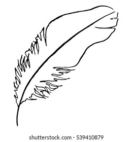 Monochrome black and white bird feather vector sketched art