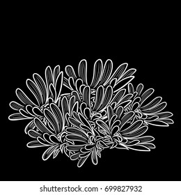 Monochrome black and white composition with chamomile for greeting card or wedding invitation