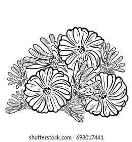 Monochrome black and white composition with daisies for greeting card or wedding invitation