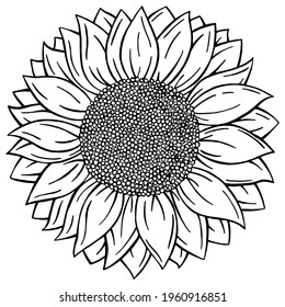 Monochrome, black and white Doodle style Sunflower isolated on white background.  Vector format Hand drawn Flower
